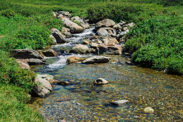 Bergkreek met grote keien dichtbij groene weide in zonnige dag