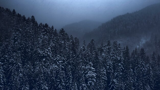 Berglandschap, blizzard over naaldbos. Drone-weergave.