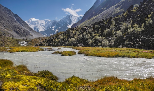 Berglandschap, de voet van Belukha, Altai, witte wateren van de gletsjerrivier, met sneeuw bedekte toppen