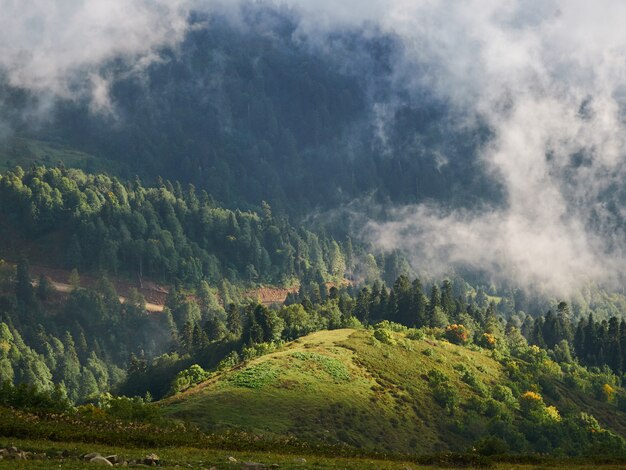 Berglandschap, groene vallei met heuvels en wolken.