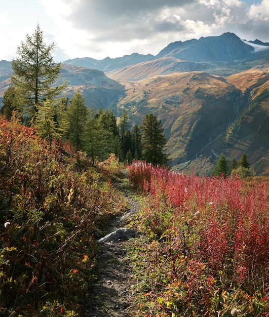 Berglandschap, herfstuitzicht, wilde plaatsen