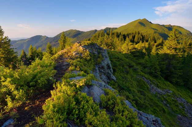 Berglandschap in de avond