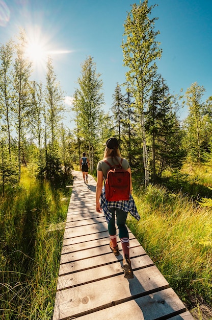 Berglandschap in de bergen van Slowakije, de Juranova dolina-vallei in het nationale park van de westelijke Tatra, oravice Orava, educatieve route door het moeras