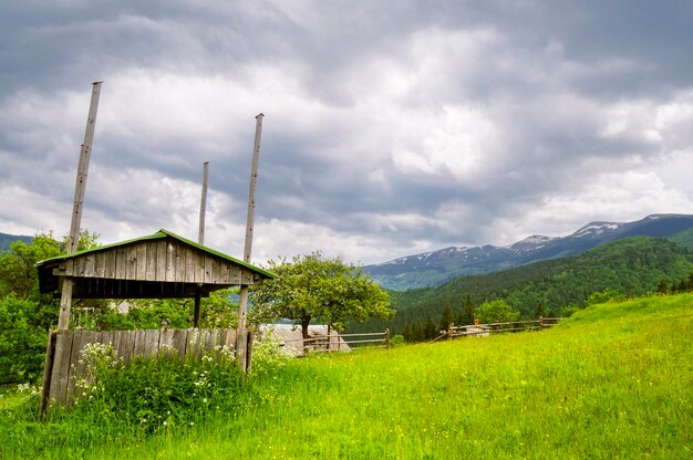 Berglandschap in de Oekraïense Karpaten