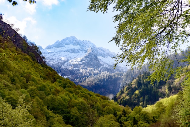 Berglandschap in de Pyreneeën, Frankrijk