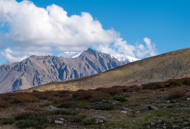 Berglandschap in de Republiek Altai
