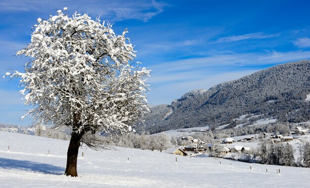 Berglandschap in de winter met sneeuw