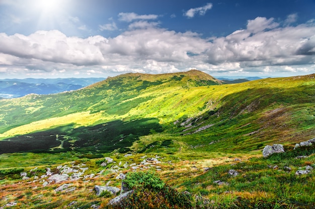 Berglandschap in de zomer