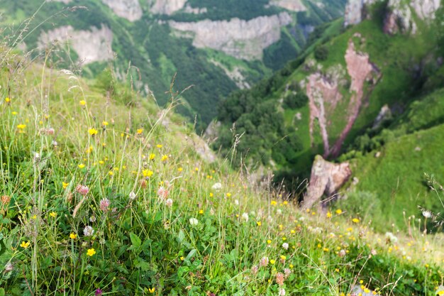 Berglandschap in Europa