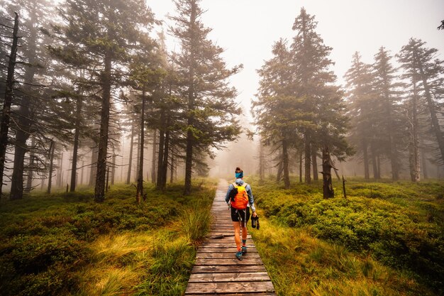 Berglandschap in Jeseniky uitzicht op de bergketen vanaf het wandelpad op de top van kleine Jezernik vanaf cernohorske zadel Een pad voor wandelaars door moeras