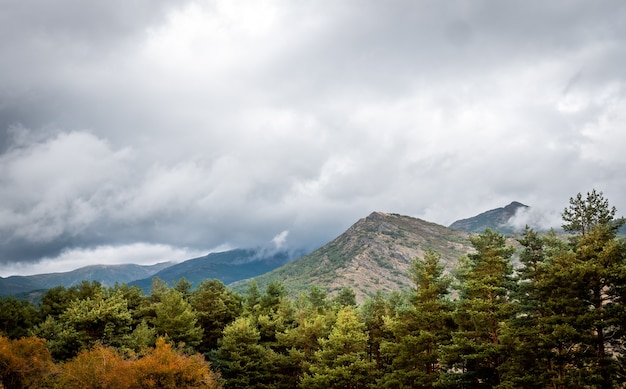 Berglandschap met pijnbomen op een bewolkte en regenachtige herfstdag