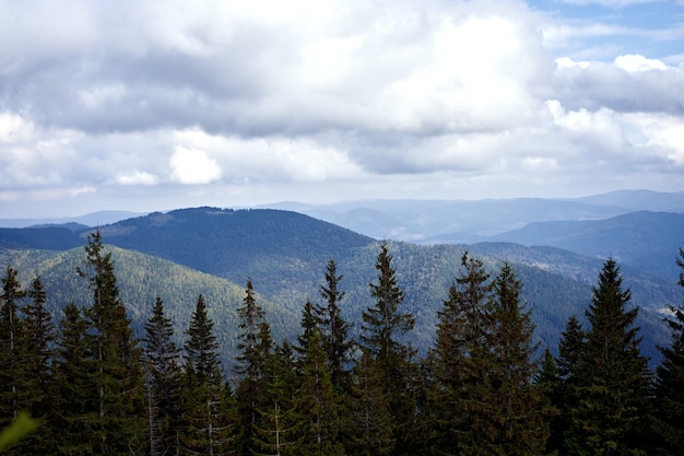 Berglandschap met wolkenlucht Karpaten Oekraïne Mooi landschapszicht