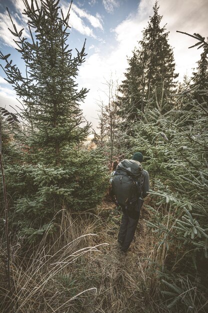 Berglandschap Mistig bos in de ochtend Natuurlijke outdoor reizen wandelen achtergrond Slowakije Hoge Tatra Liptov reizen