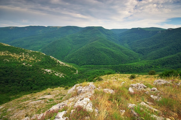 Berglandschap Natuur