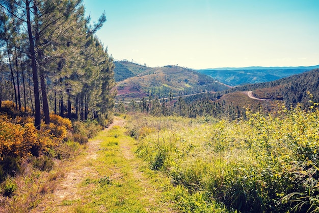 Berglandschap Onverharde weg in het natuurpark Serra da Estrela Portugal