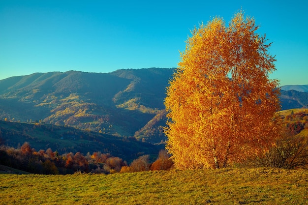 Berglandschap op een zonnige herfstdag