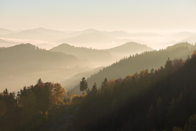 Berglandschap op een zonnige ochtend