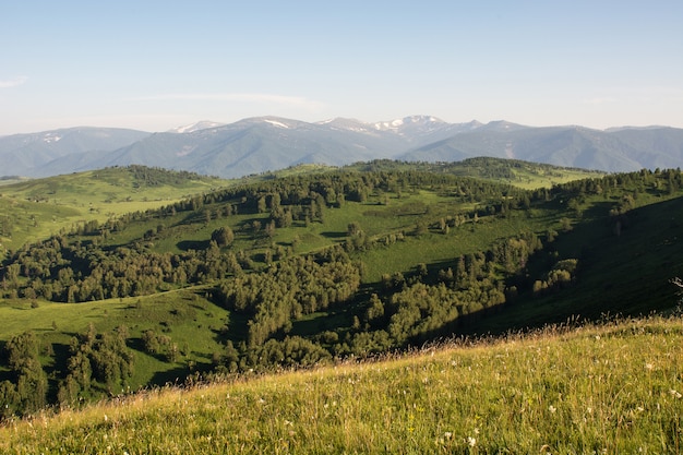 Berglandschap.