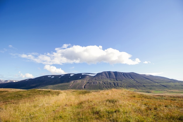 Berglandschap