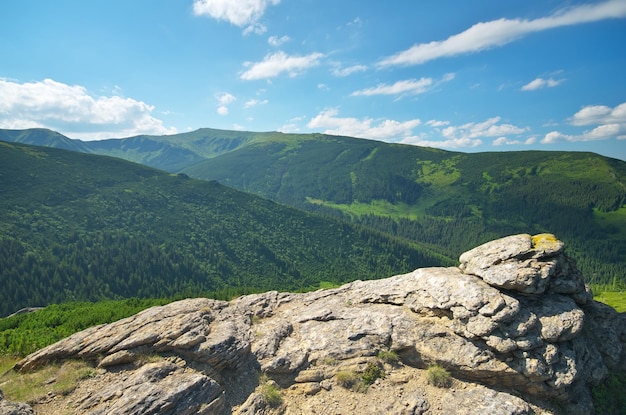 berglandschap