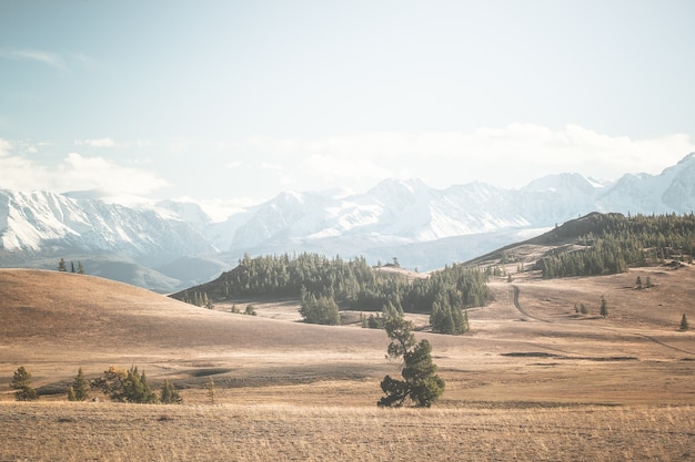 Berglandschap