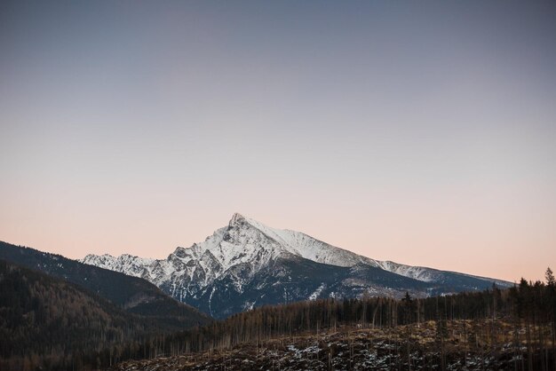 berglandschap