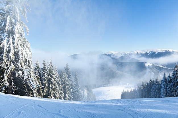 Berglandschappen en panorama's van besneeuwde bergtoppen in de winterskigebieden