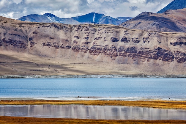 Bergmeer Tso Kar in de Himalaya