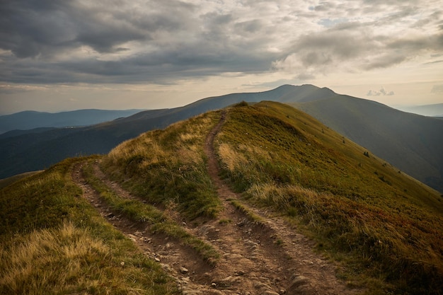 Bergpad in de Karpaten Oekraïne Wandel- en wandelpaden in de Borzhava-rug Landelijk gebied van de Karpaten in de herfst