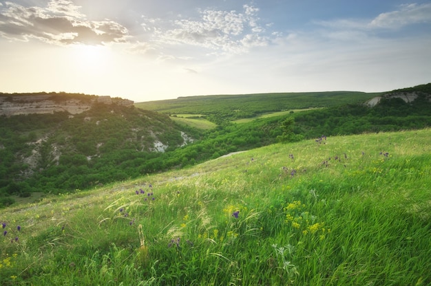 Bergpanorama landschap