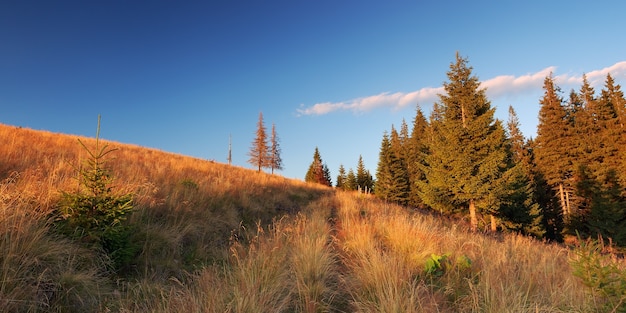 Bergpanorama van de oude weg op een zonnige avond