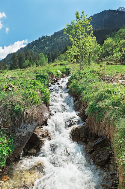 Bergrivier in de Alpen Zwitserland