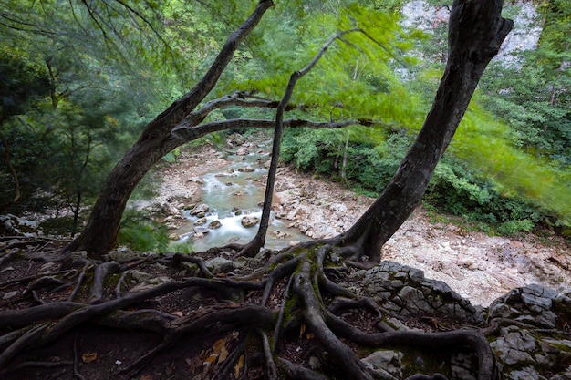 Bergrivier in de Guam Gorge Republiek Adygea Rusland