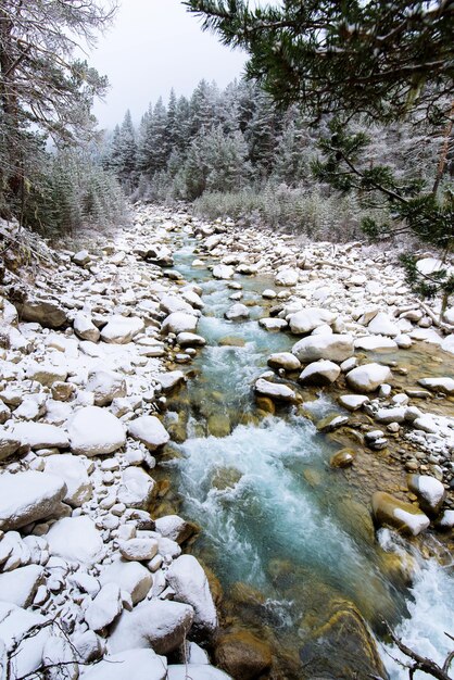 Foto bergrivier in de kavkaz