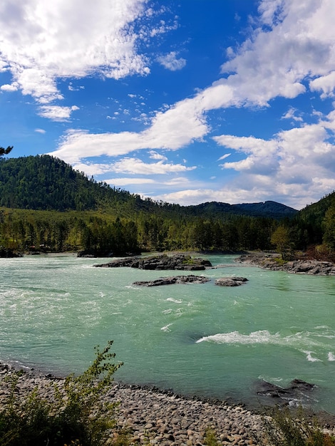 Bergrivier in de uitgestrekte bergen van het altai-gebergte