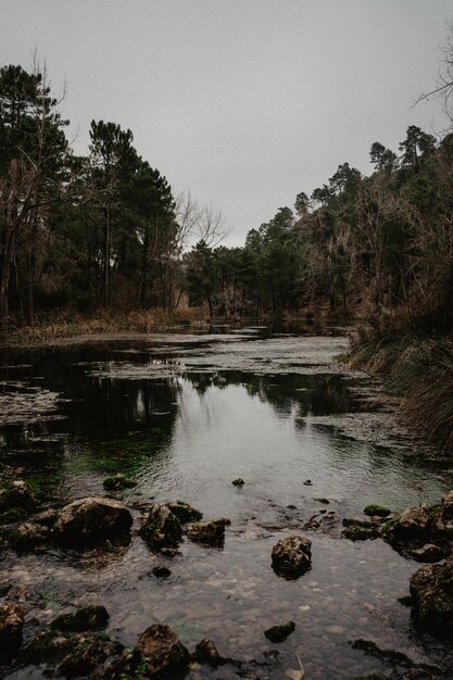 Foto bergrivier modderig landschap beeld