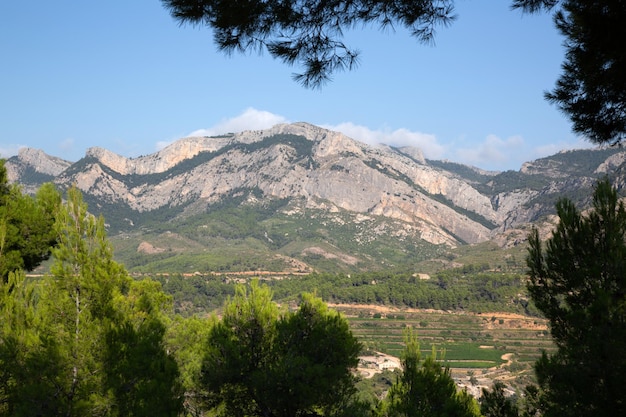 Bergruggen in Ports National Park, Tarragona, Spanje