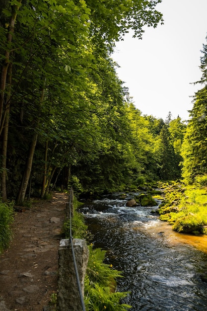 Bergstroom in het nationale park van karkonosze in polen in de zomer