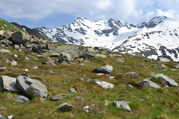 Bergtop bedekt met sneeuw en mos Alpen in Oostenrijk
