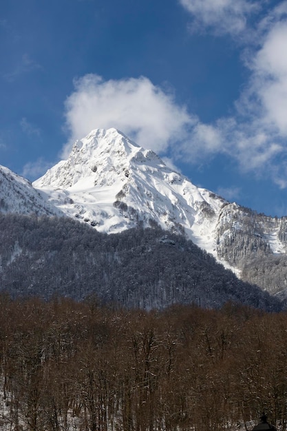 Bergtoppen bedekt met sneeuw en blauwe lucht Het concept van wintervakanties