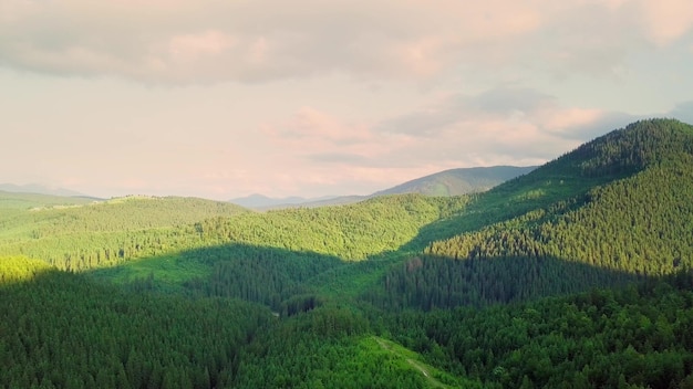 Bergtoppen en ochtendhemel met soepele bewegende wolken Zomerlandschap rustige valleibomen in de weide bij Karpaten, Oekraïne