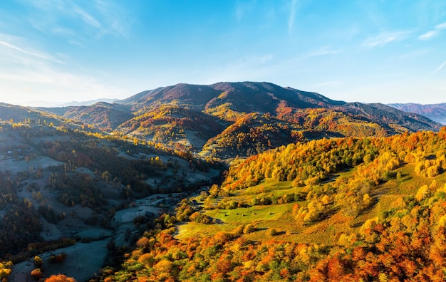 Bergtoppen met terracotta bossen onder fel zonlicht