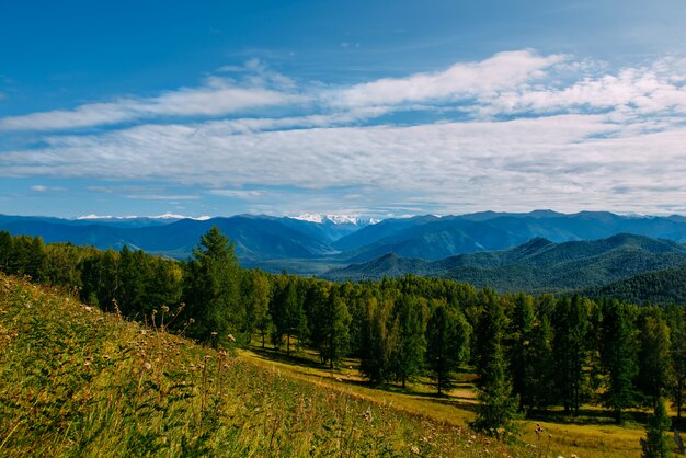 Bergvallei met bomen en bewolkte hemel, het gouden landschap van het de herfstpanorama, republiek altai