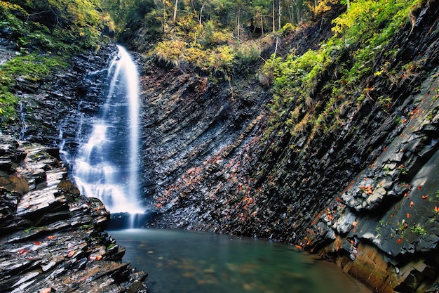 Bergwaterval Stenen rotsgras en bomen Een prachtig berglandschap