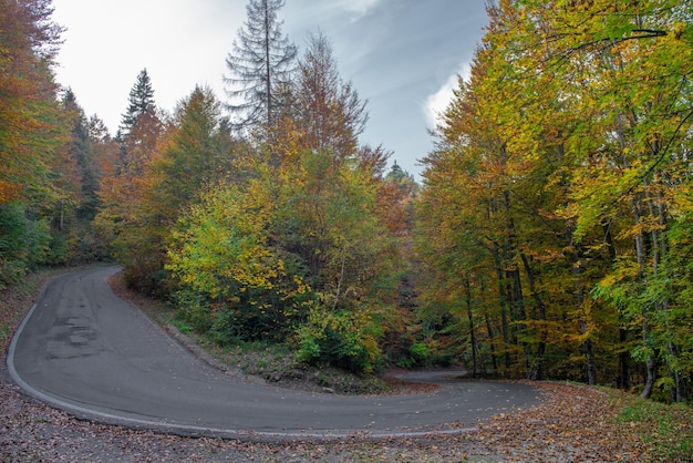 Bergweg in de herfst