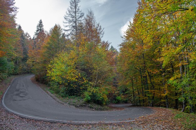 Bergweg in de herfst