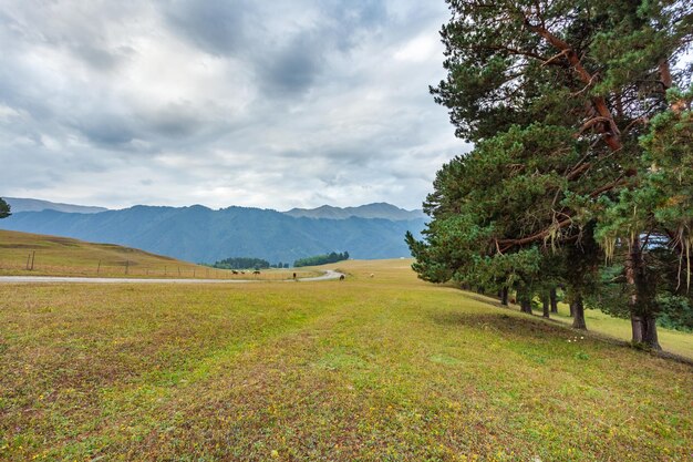 Bergweg in het hoge bergdorp Tusheti, Omalo. Reizen naar Georgië