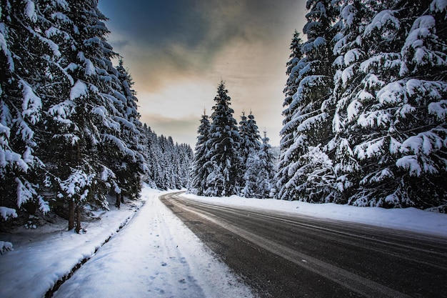 Bergweg terwijl sneeuwstorm gevaarlijk is