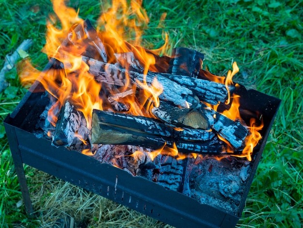 Berk logs in de barbecue bedekt met vuur. close-up, voorbereiding voor het koken van gerechten op kolen