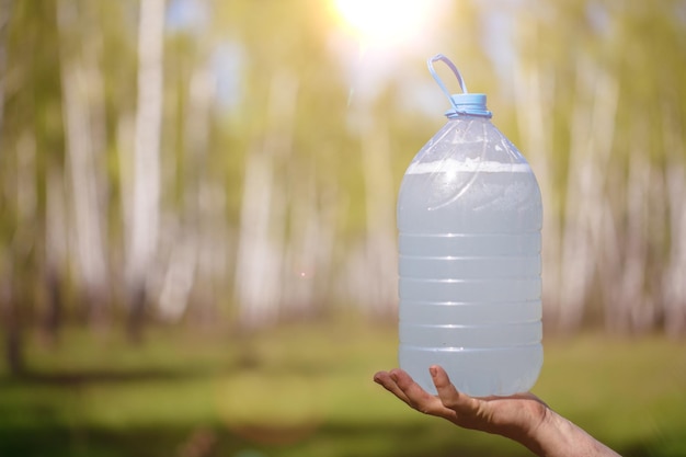 Berksap in een plastic fles tegen de achtergrond van een berkenbos